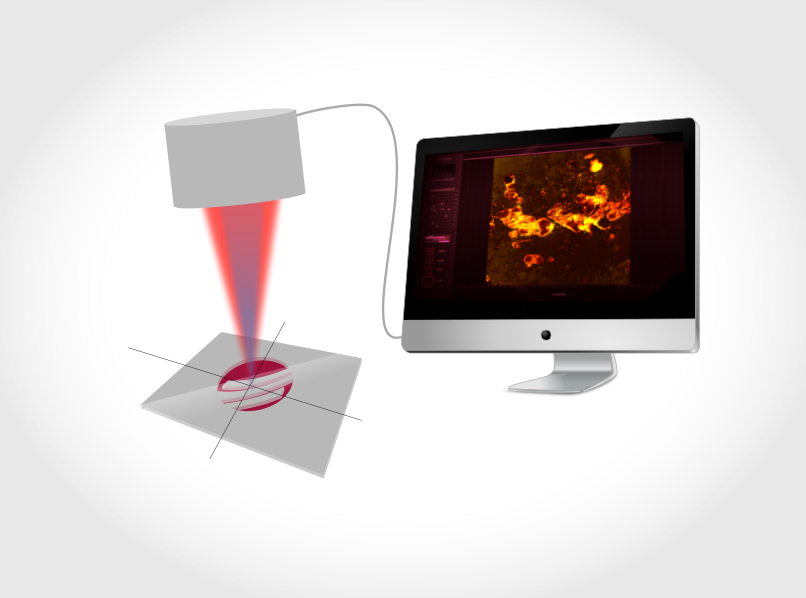 Biomedical imaging